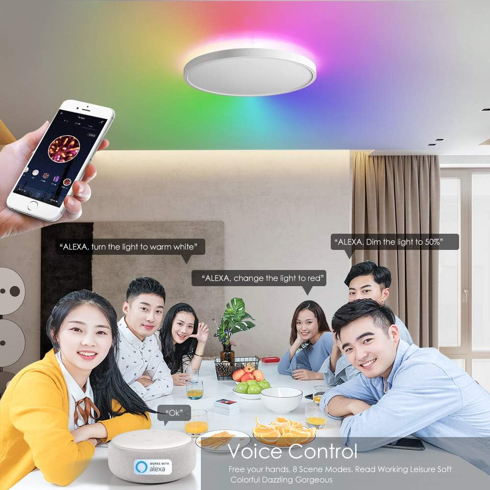 Alexa Ceiling Light Smart, Wifi, Compatible with Google, 15.8 Inch Modern Dimmable Flush Mount LED Light Fixture for Living Room Office Kitchen, 28W RGBW