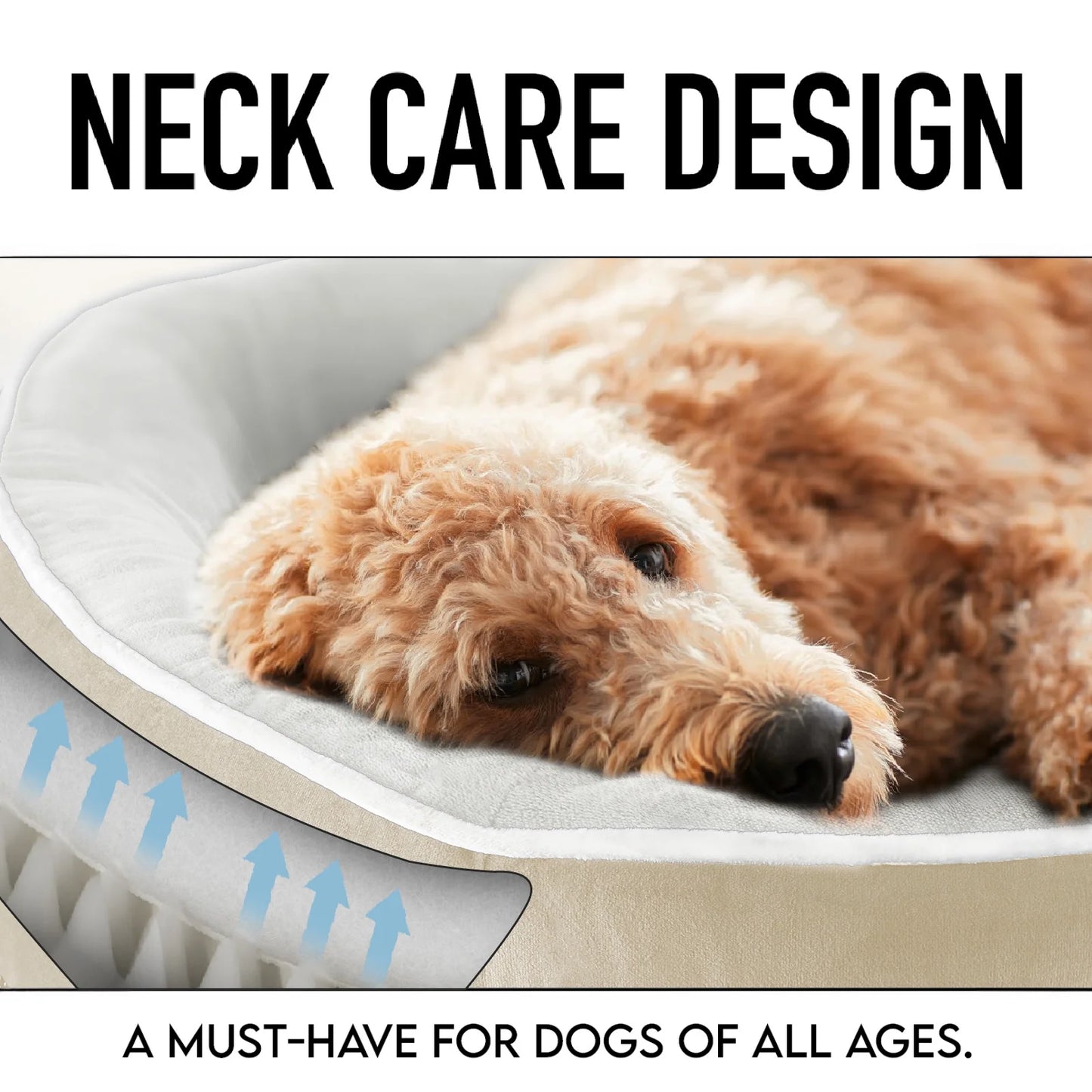 Beige Luxury Sofa-Style Pet Orthopedic Bed for Medium Dogs – Removable Machine-Washable Plush Cover, 4-Sided Bolster, Non-Slip Bottom, Size 35"X28"X6"