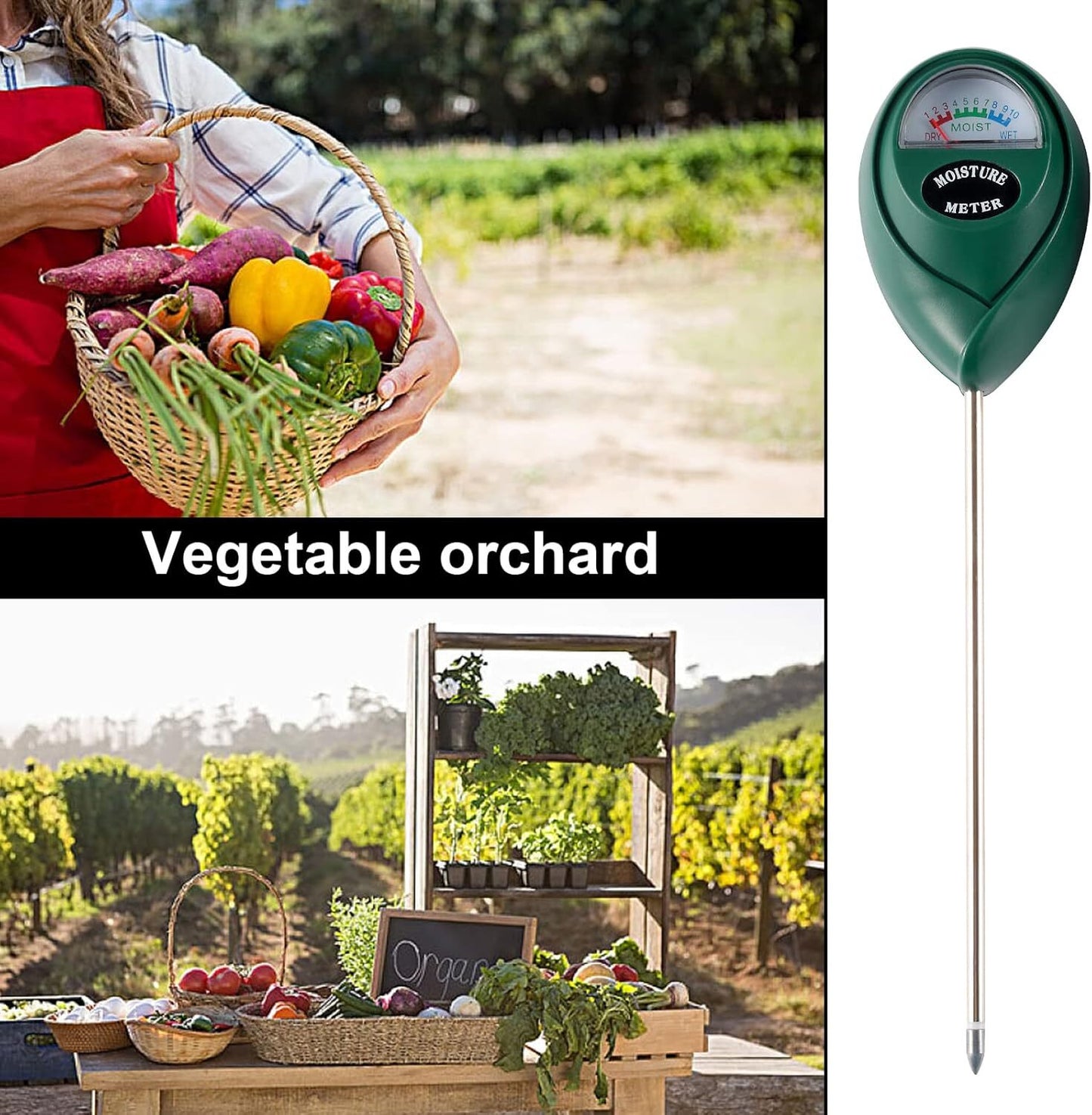 2 Packs Soil Moisture Meter, Plant Water Meter for House Plants, Soil Tester Tes