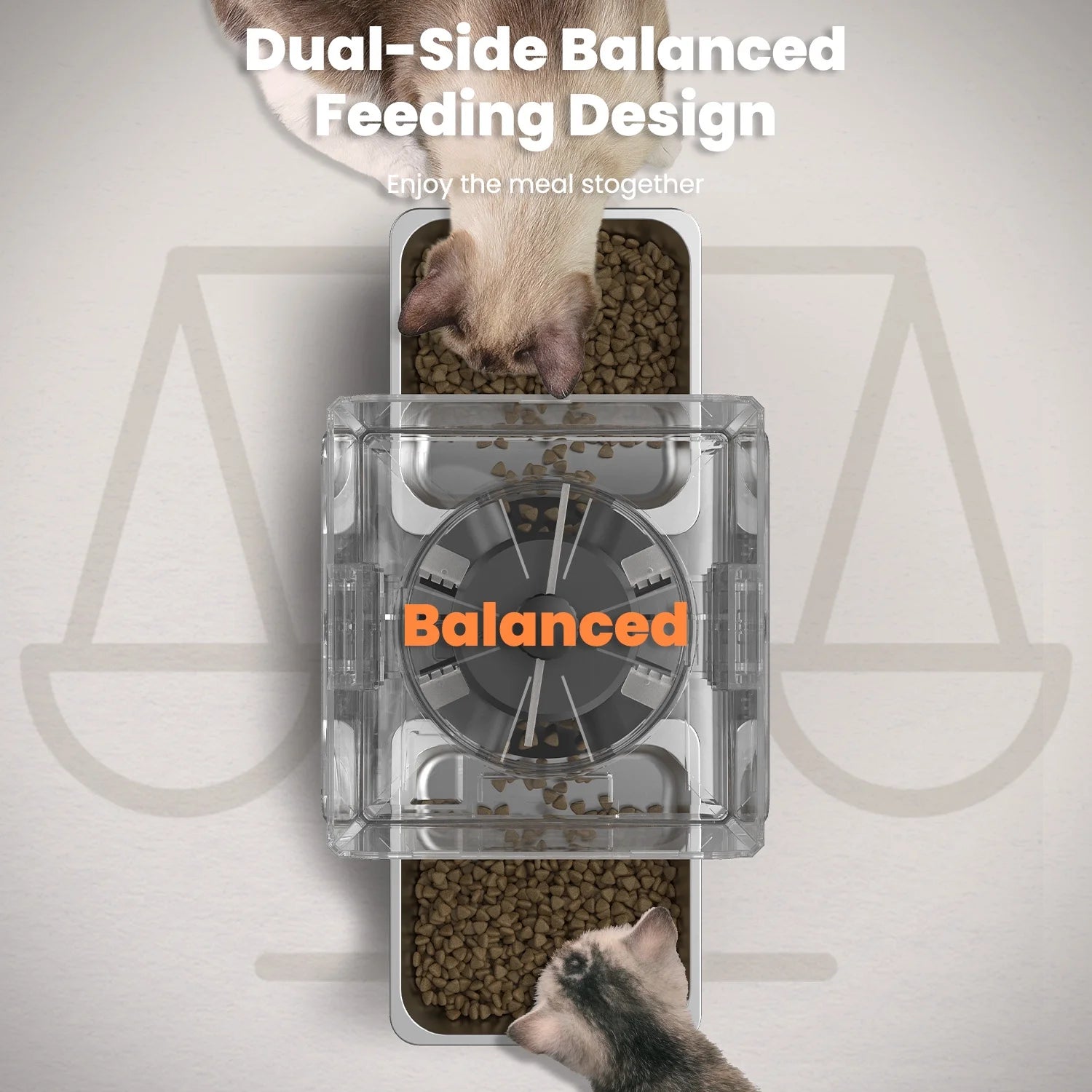 Automatic Cat Feeder, Pet Feeder for 2 Cats/2 Small Dogs,5L/20 Cups, 6 Meal/Day Elevated Timed Dog Food Dispenser with Dual Bowls ,Voice Call